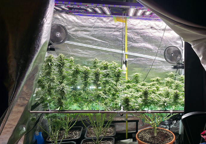 Growreport Bild 38