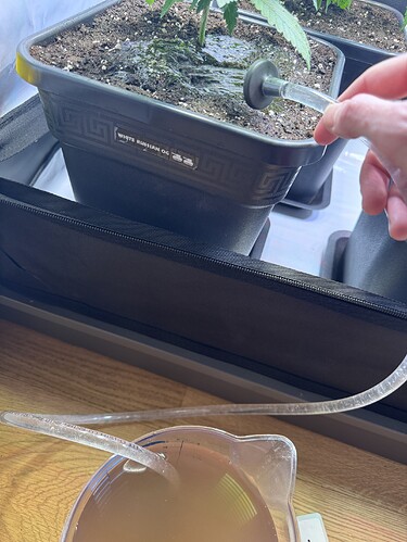 Growreport Bild 15