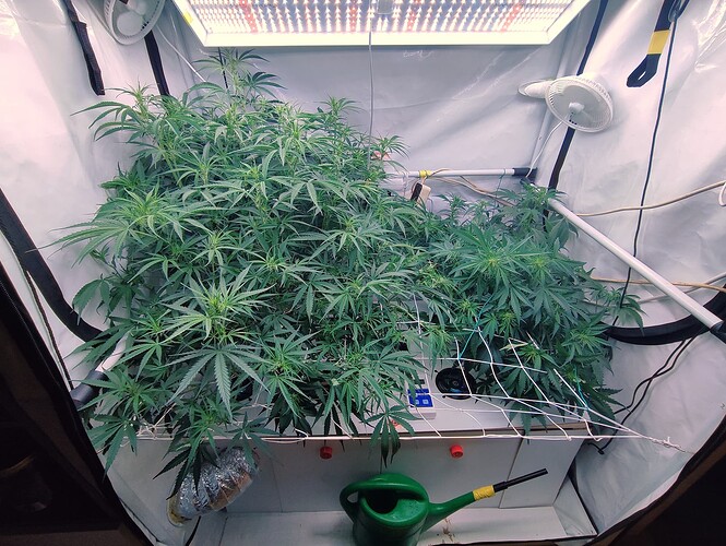 Growreport Bild 2