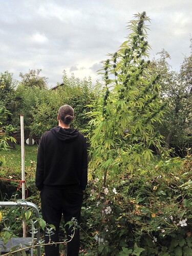 Grow25_1016b_2