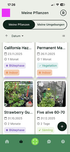 Growreport Bild 7
