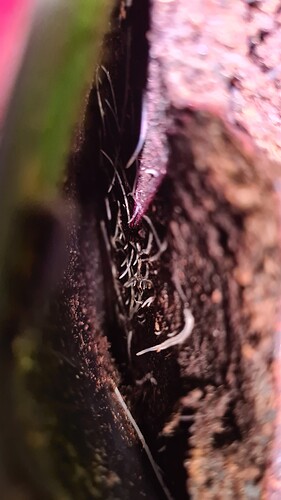Growreport Bild 13