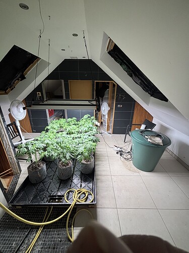 Growreport Bild 14