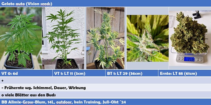 Growreport Bild 5