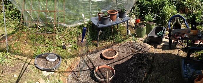 Growreport Bild 33
