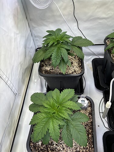 Growreport Bild 21