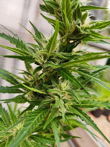 Growreport Bild 14