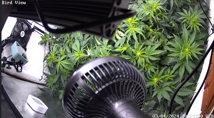 Growreport Bild 13
