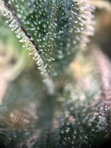 Growreport Bild 14