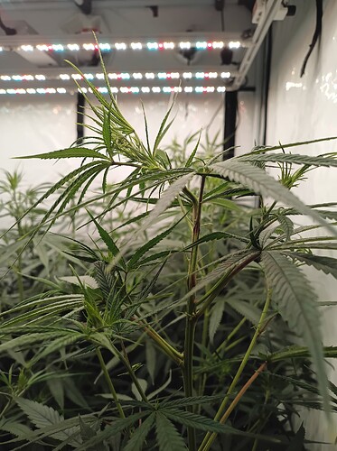Growreport Bild 25