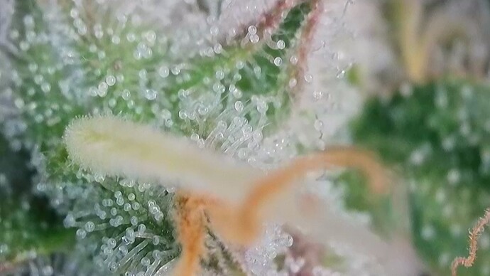 Growreport Bild 26