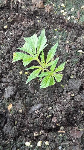 Growreport Bild 12