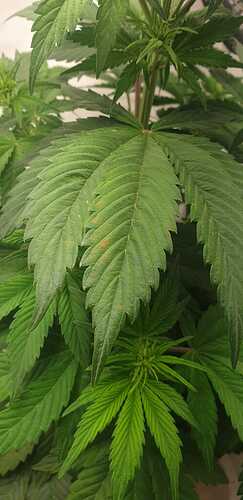 WhatsApp Image 2024-05-19 at 12.14.37 (1)