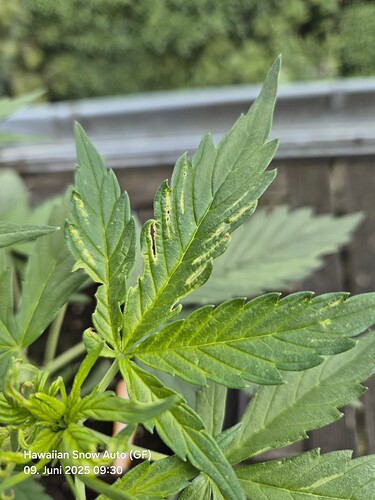 Growreport Bild 8