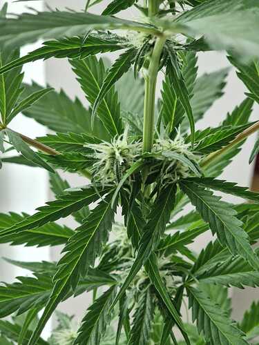 WhatsApp Image 2024-05-22 at 17.48.40