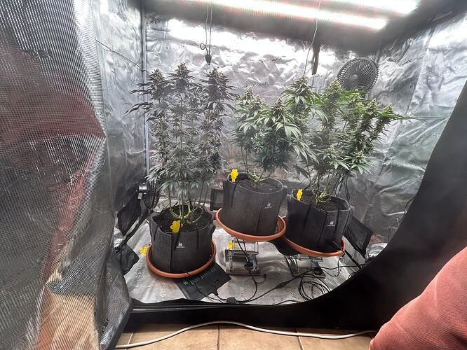 Growreport Bild 2