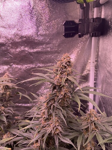 Growreport Bild 10