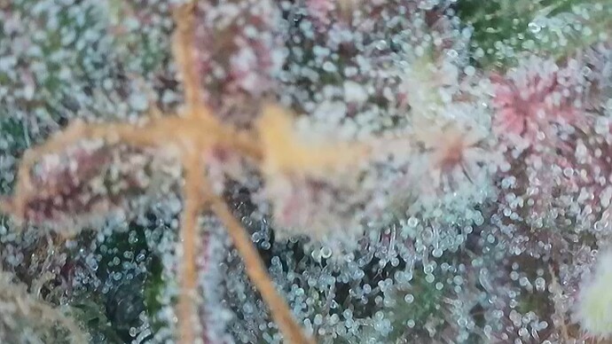 Growreport Bild 18