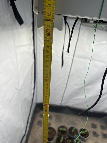 Growreport Bild 2