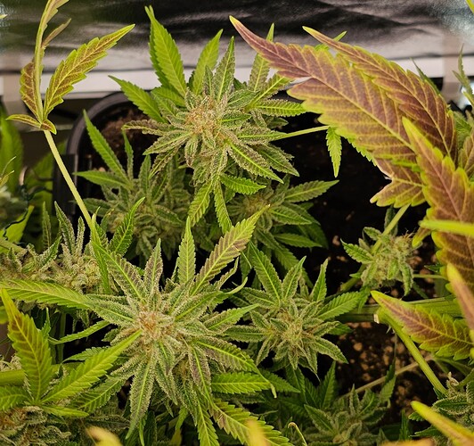 Growreport Bild 16