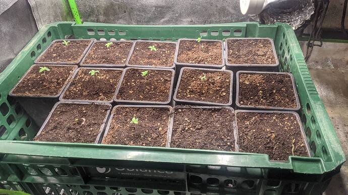 Growreport Bild 10