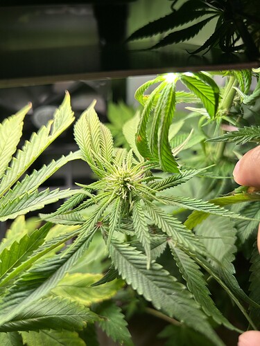 Growreport Bild 5