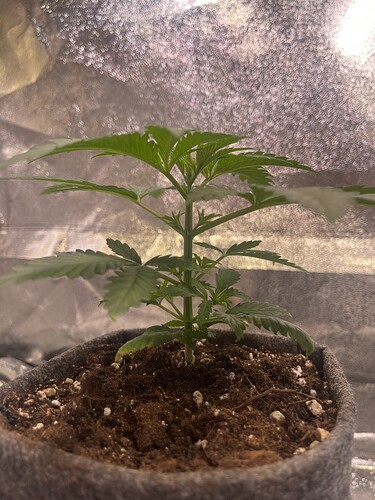 Growreport Bild 2