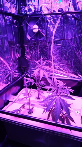 Growreport Bild 18