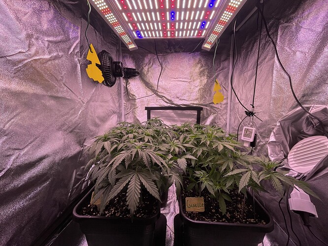 Growreport Bild 16