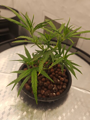Growreport Bild 40