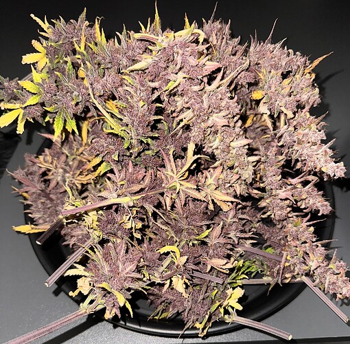 Growreport Bild 2