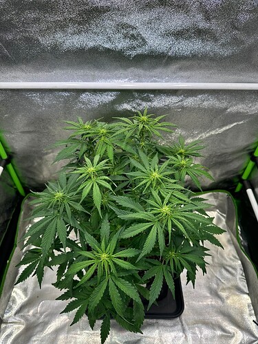 Growreport Bild 10