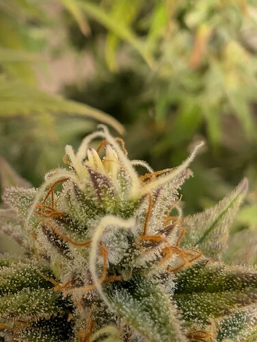 Growreport Bild 16