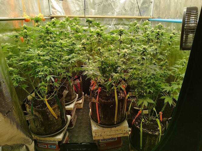 Growreport Bild 7