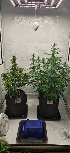 Growreport Bild 27