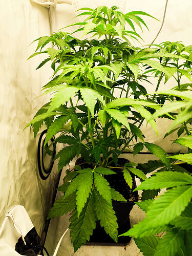 Growreport Bild 5