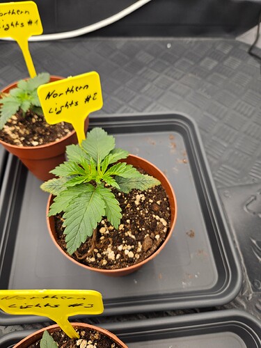 Growreport Bild 12