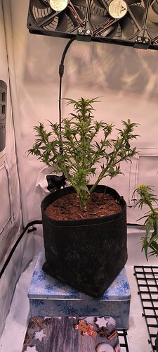 Growreport Bild 23