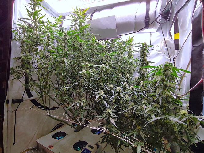 Growreport Bild 1