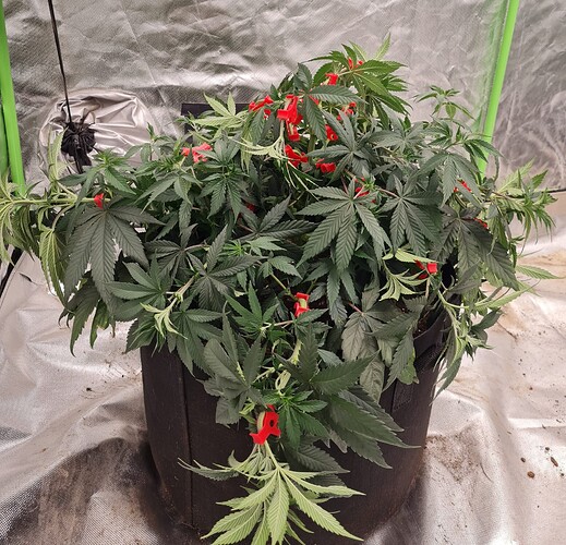 Growreport Bild 12