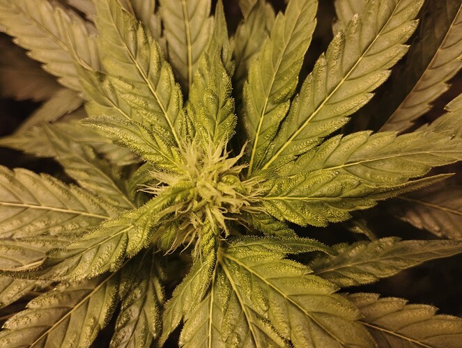 Growreport Bild 2
