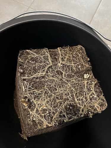 Growreport Bild 20