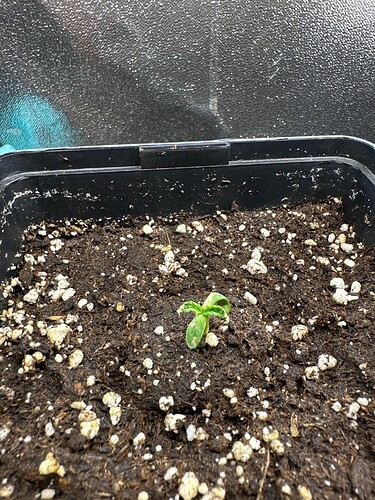 Growreport Bild 5