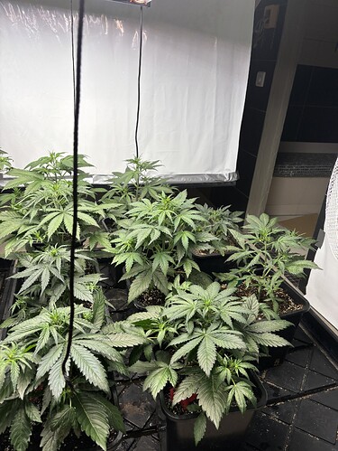 Growreport Bild 13