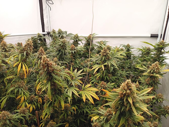 Growreport Bild 10