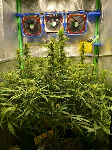 Growreport Bild 13