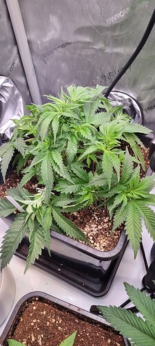 Growreport Bild 16