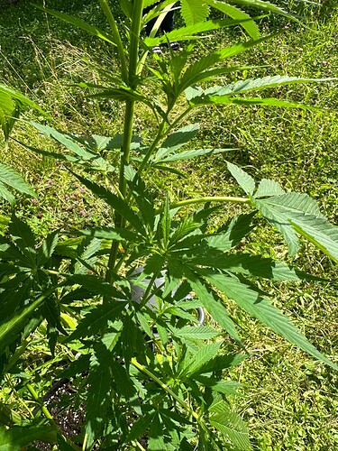 Growreport Bild 7