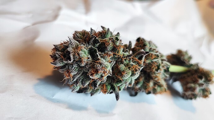 Growreport Bild 12