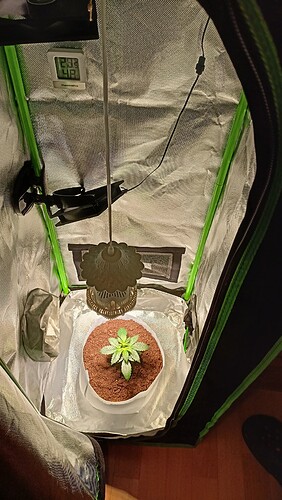 Growreport Bild 3